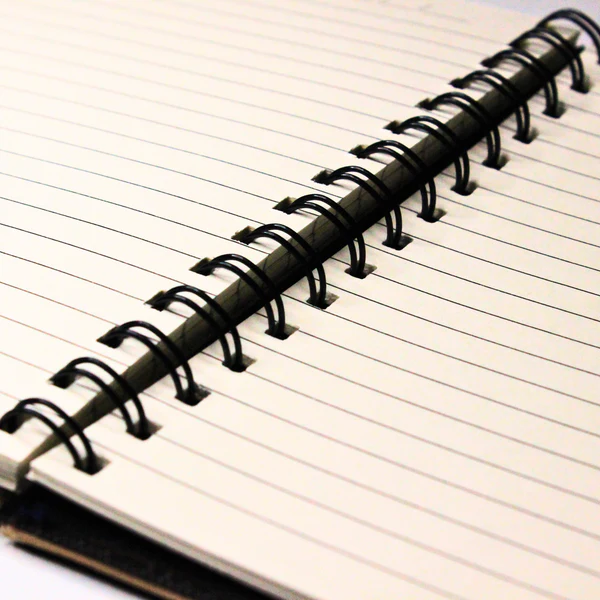 21_0e6f8ff4-c59c-4363-a95e-4776cfb7ebfc Blue Dragon Leather Spiral Notebook