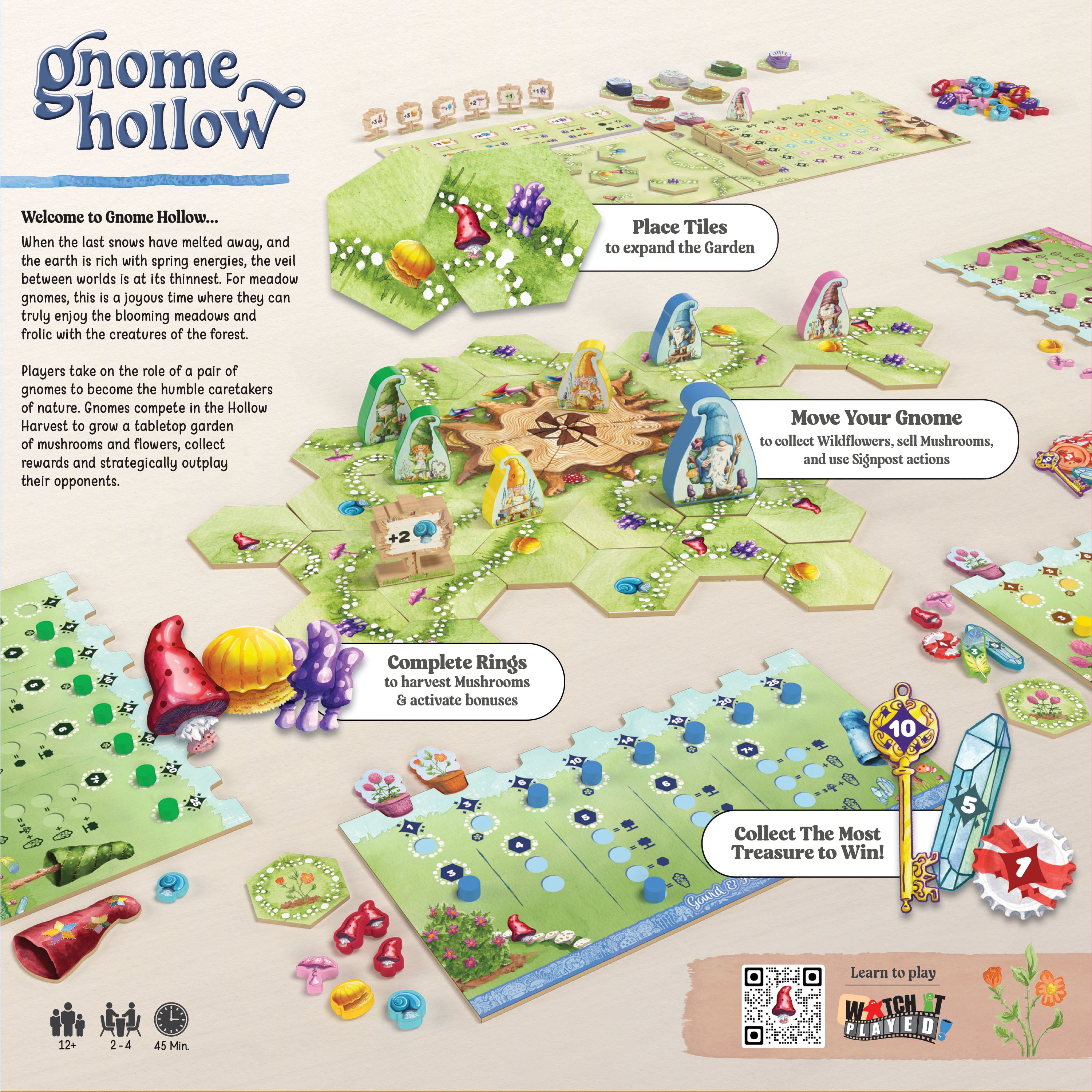 2024_GnomeHollow_Flat_BB_Retailer Gnome Hollow